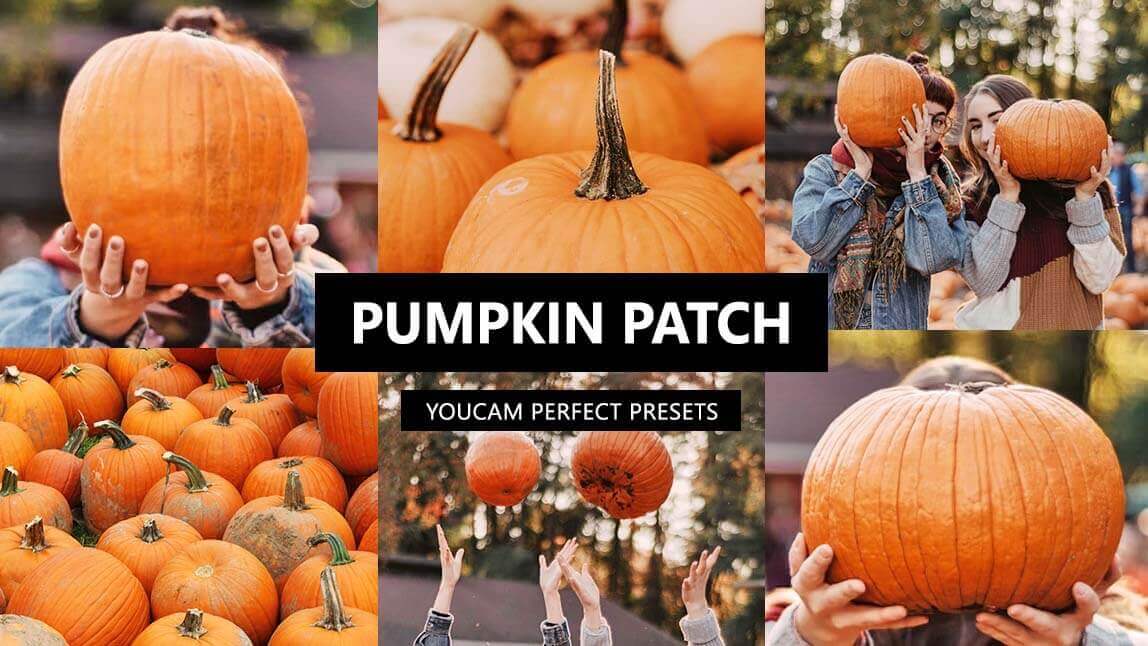 15 Pumpkin Patch Photo Ideas & How To Enhance Your Pics