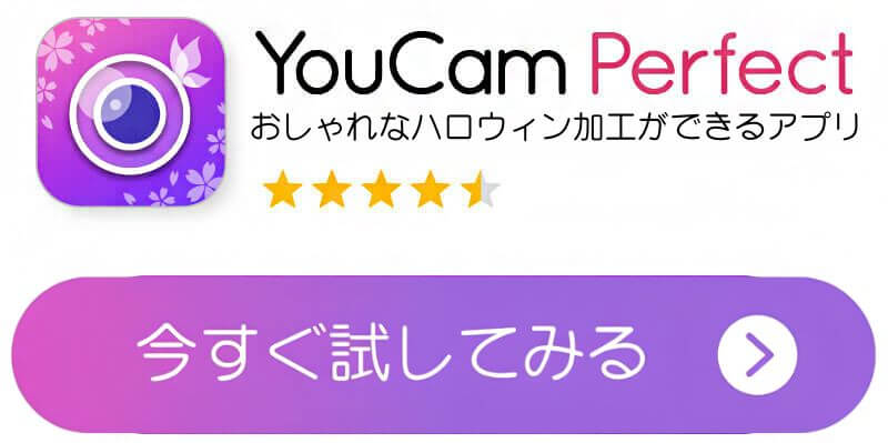 YCPのダウンロードボタン