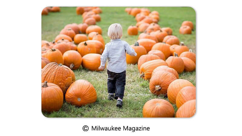 Pumpkin Photo Idea Pumpkin Photo Idea: Pumpkin Patch Walk