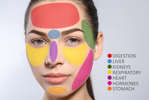 face mapping skin analysis face mapping skin analysis