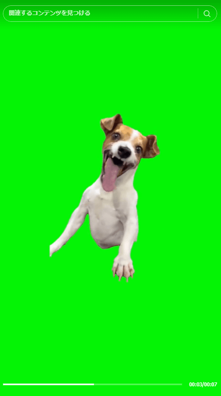 笑う犬の猫ミーム素材 笑う犬の猫ミーム素材