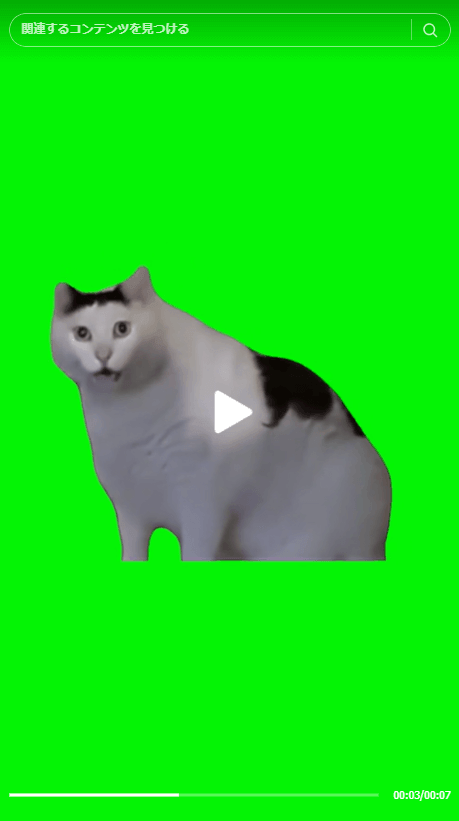 はあ?猫 はあ?猫