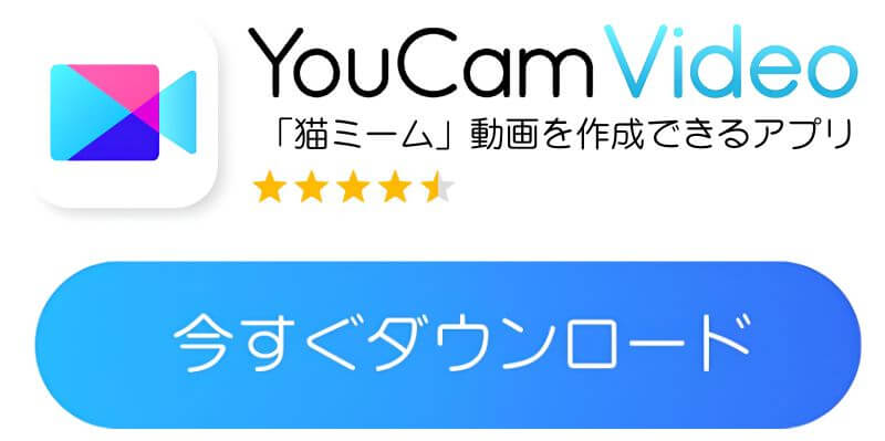 YouCam Videoダウンロードボタン YouCam Videoダウンロードボタン