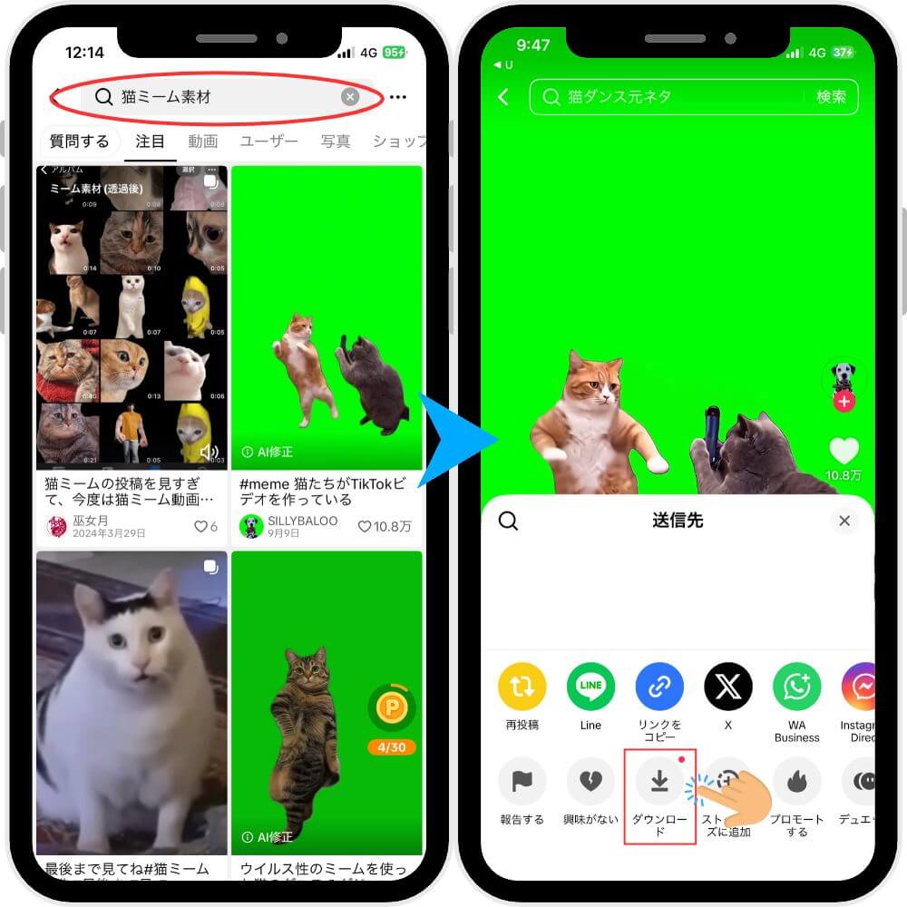 「猫ミーム素材」をダウンロード 「猫ミーム素材」をダウンロード