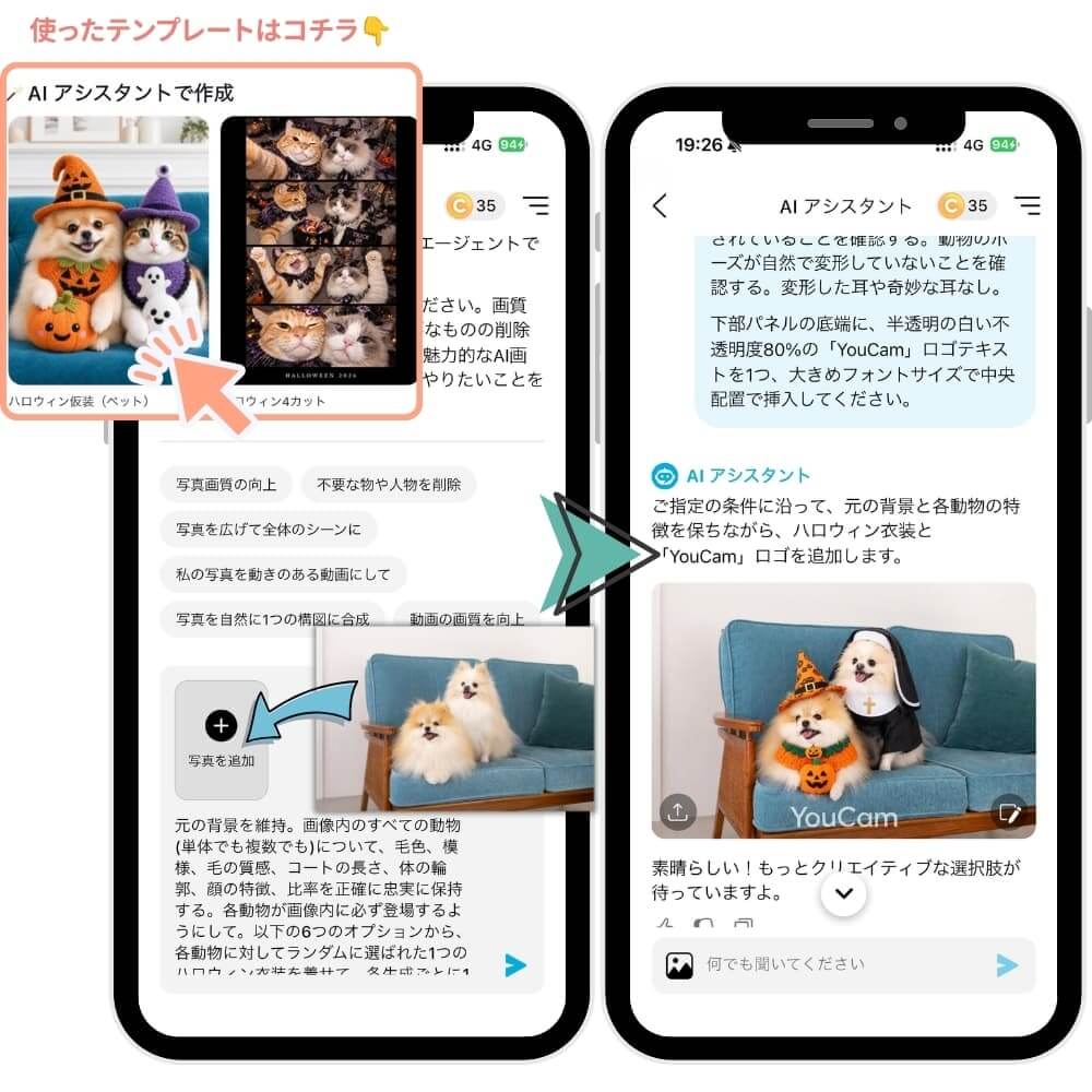 ペットのハロウィン仮装加工やり方 ペットのハロウィン仮装加工やり方