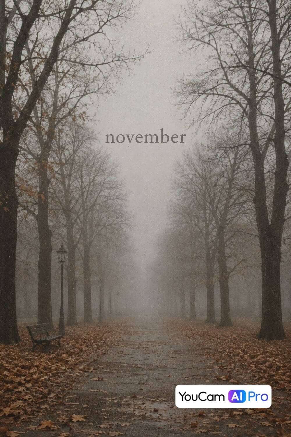 Nebliger Herbstweg mit kahlen Bäumen, Parkbank, Laterne und buntem Laub, dazu der Schriftzug „november“ – erstellt mit YouCam AI Pro