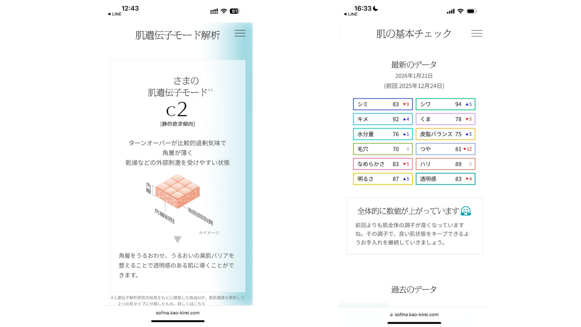 SOFINA SYNC＋ 肌解析の流れ