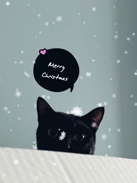 聖誕下雪特效