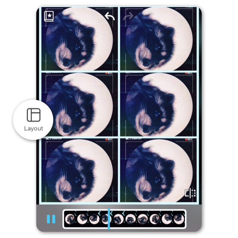 Neues Video Layout für dein Pedro-Waschbär-Video.