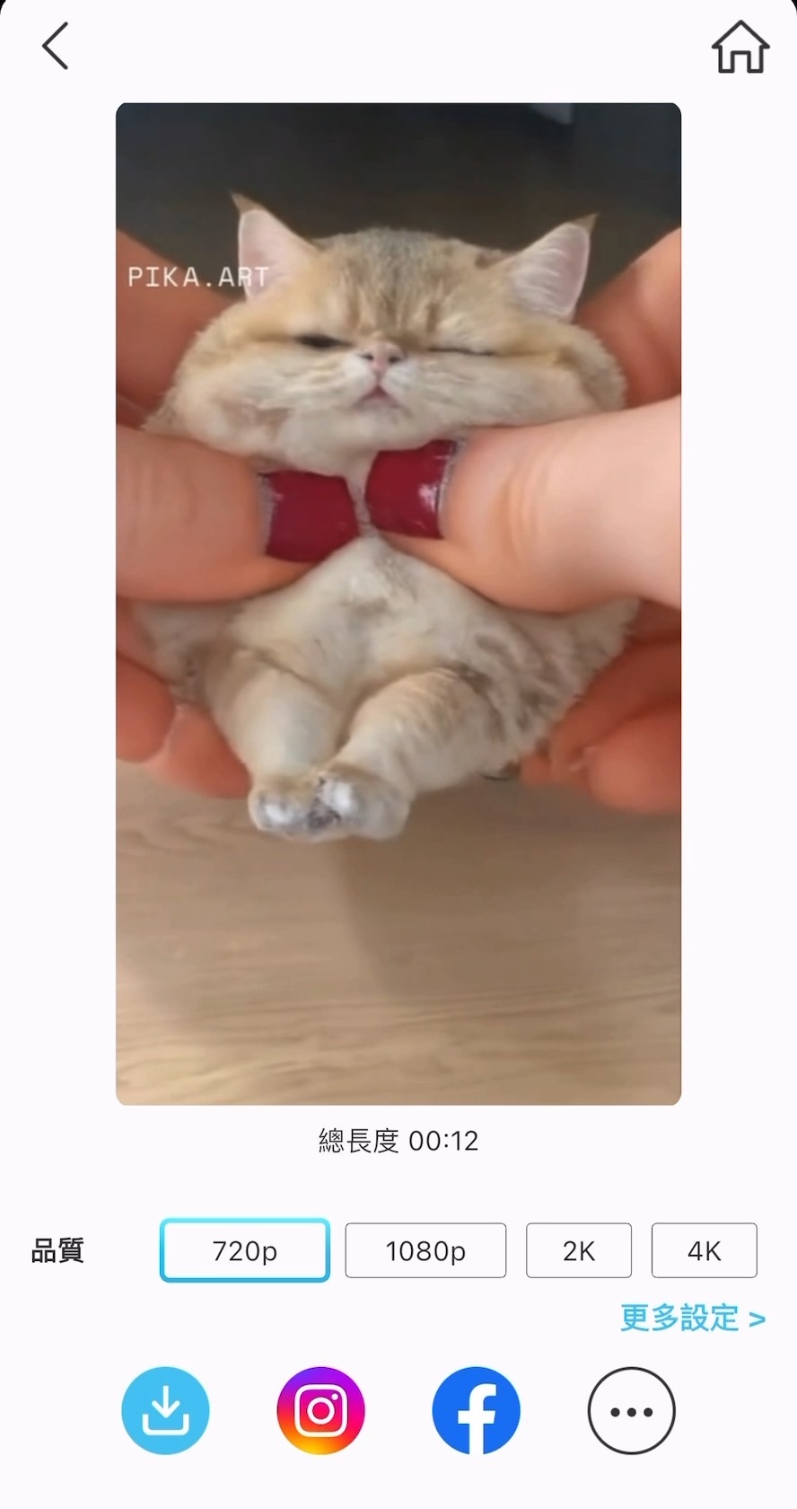 儲存倒轉影片