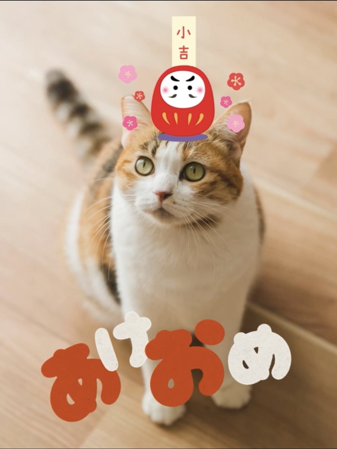 今回作成する動く年賀状