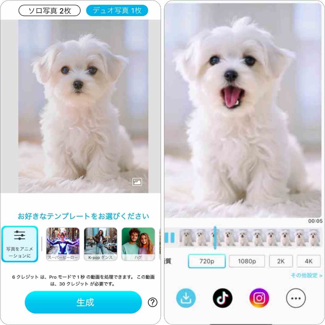 アプリで歌う犬を作成