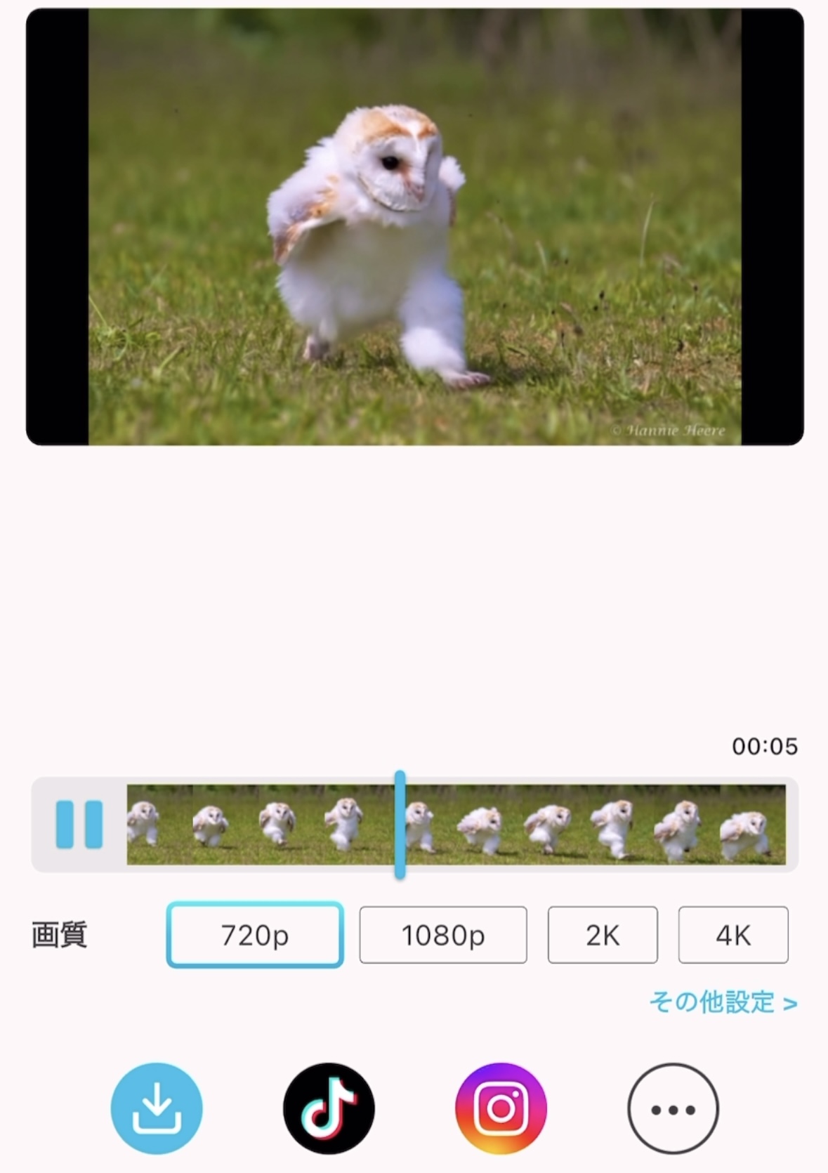 エッホエッホをAIで動かした様子