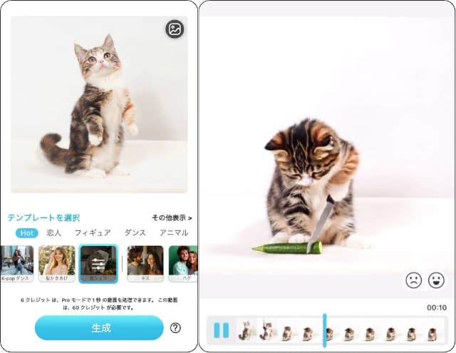 猫料理