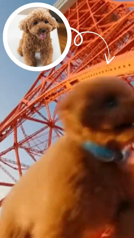 Sora 2 App 特色亮點