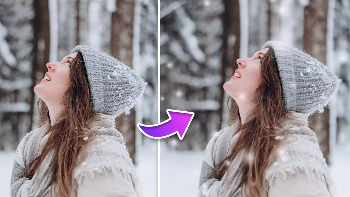 Photo Dump Novembre neige