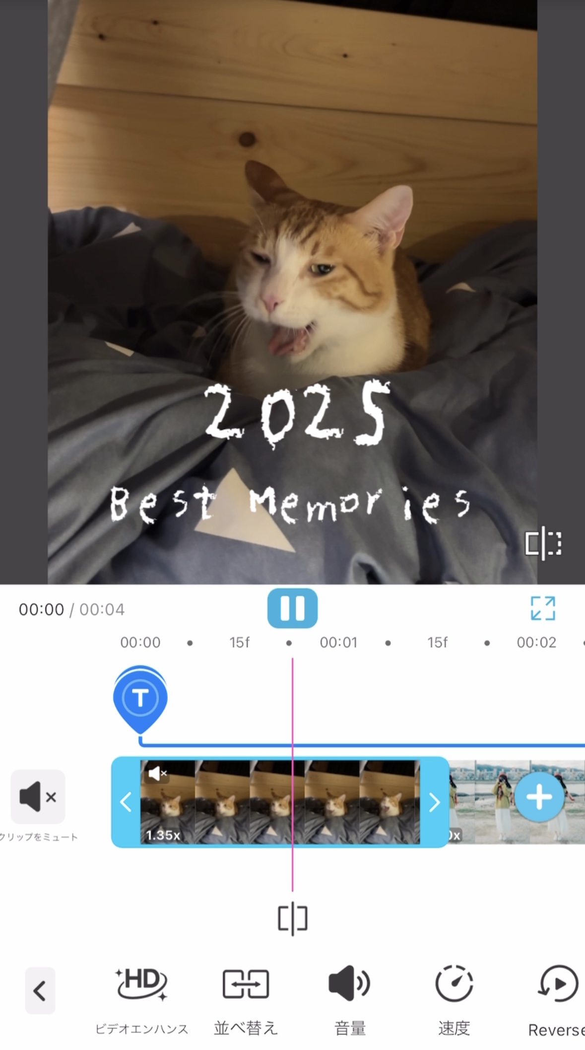 動画に文字入れして一年のまとめインスタリールを作成