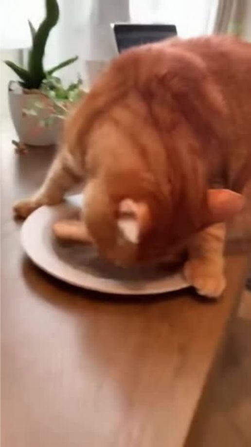 AIで生成した動画