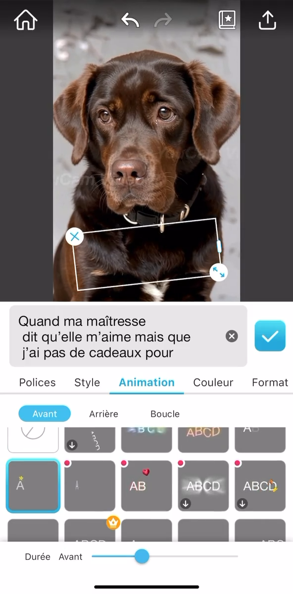 Trend le mal aimé, tendance le mal aimé animaux