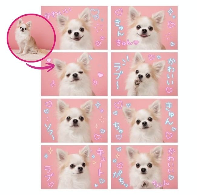 年度回顧影片模板