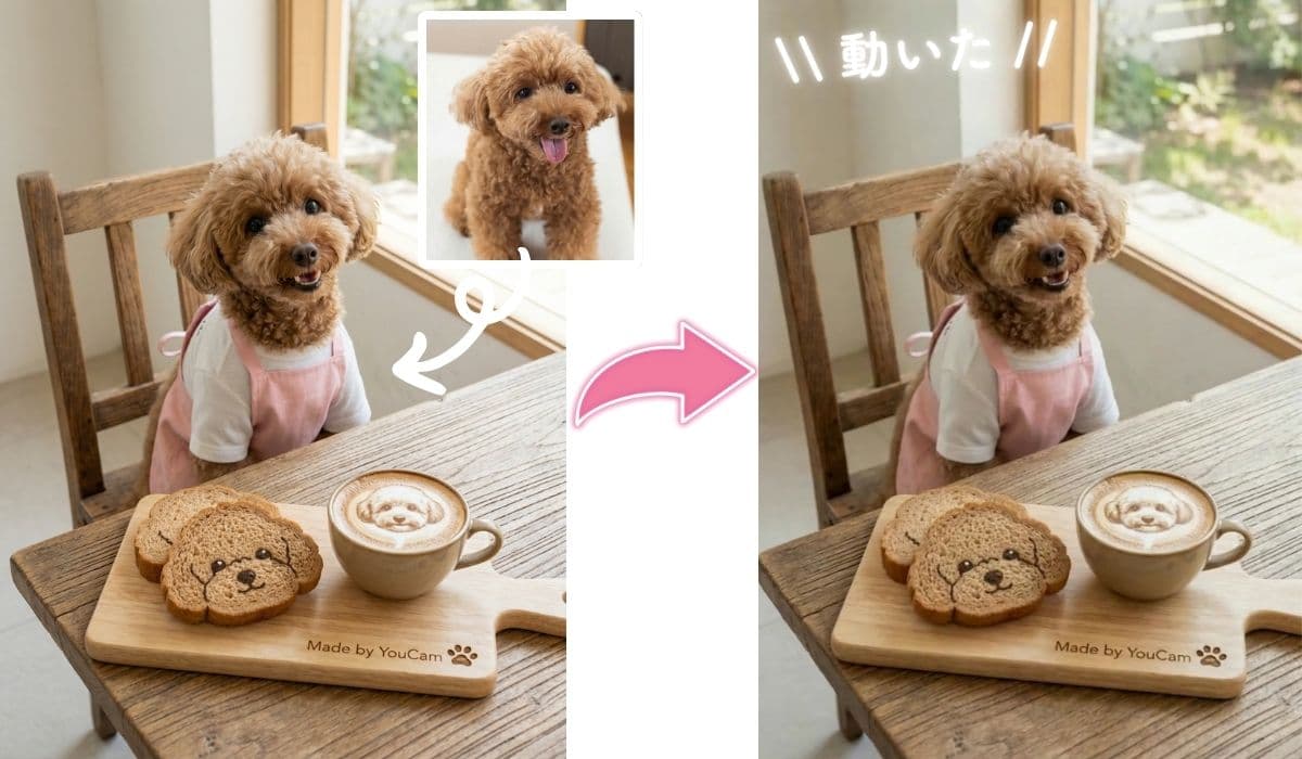 犬加工写真を動かしてもっと可愛く