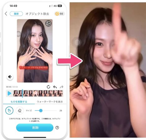 動画の文字を消す