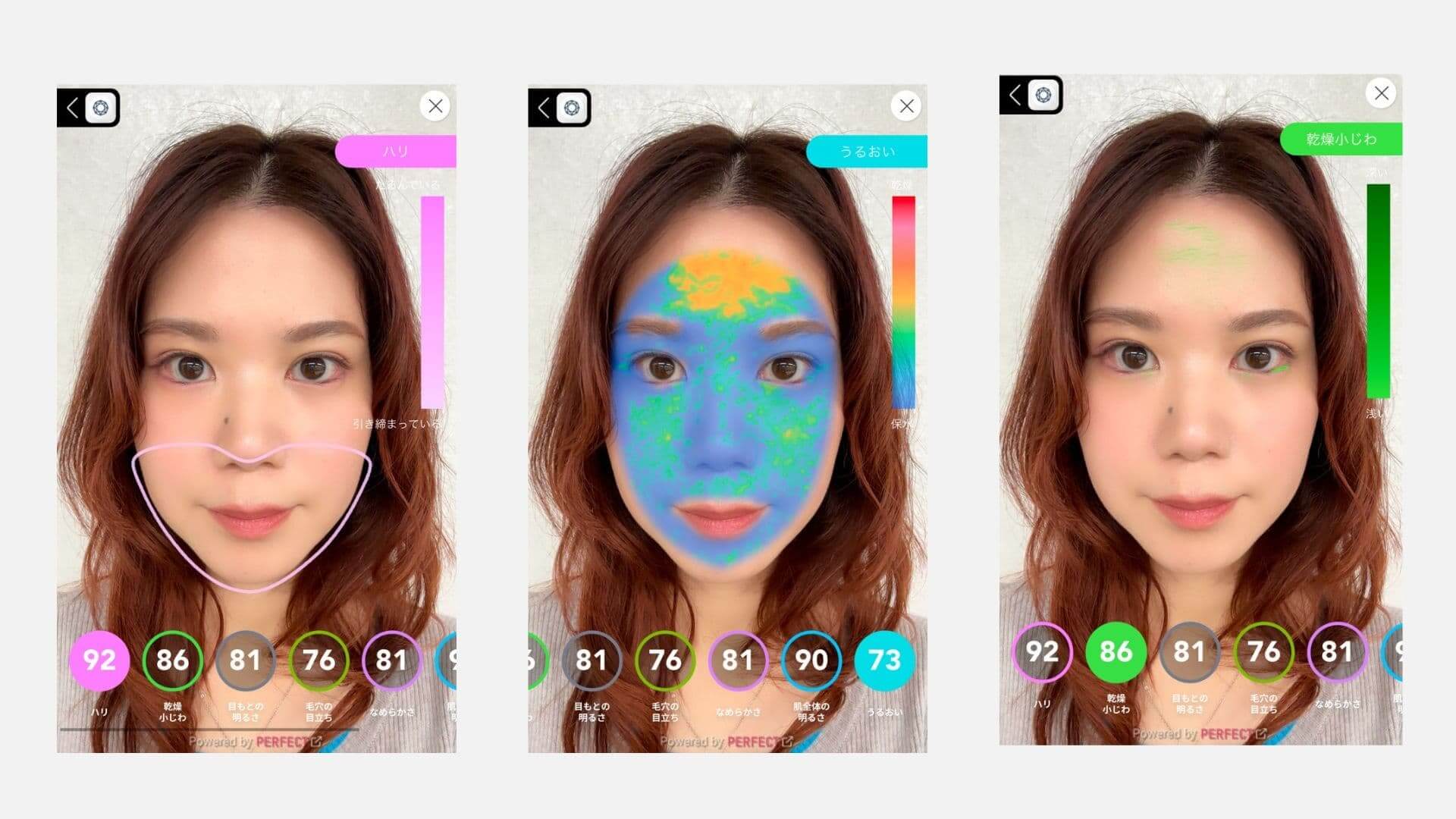 肌分析 使用イメージ