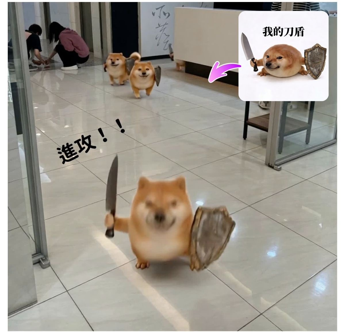 我的刀盾是什麼梗？