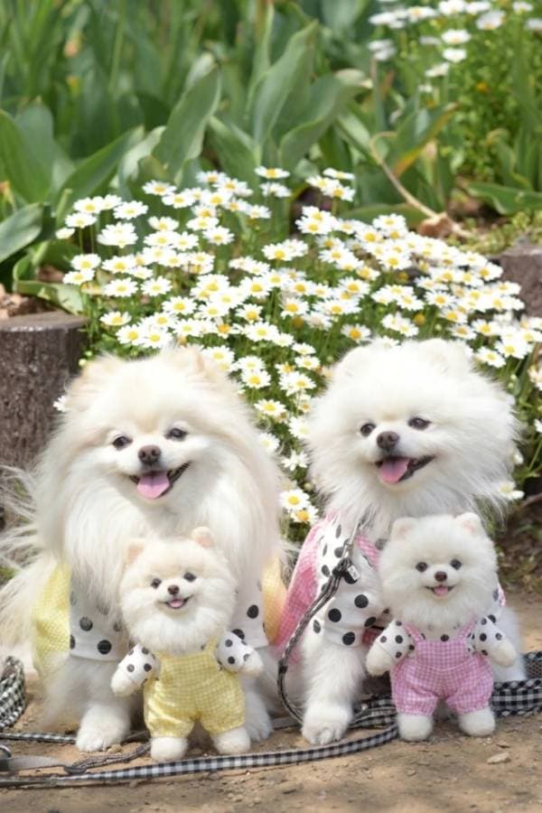 写真から作ったぬいぐるみ画像を動かしてみた様子