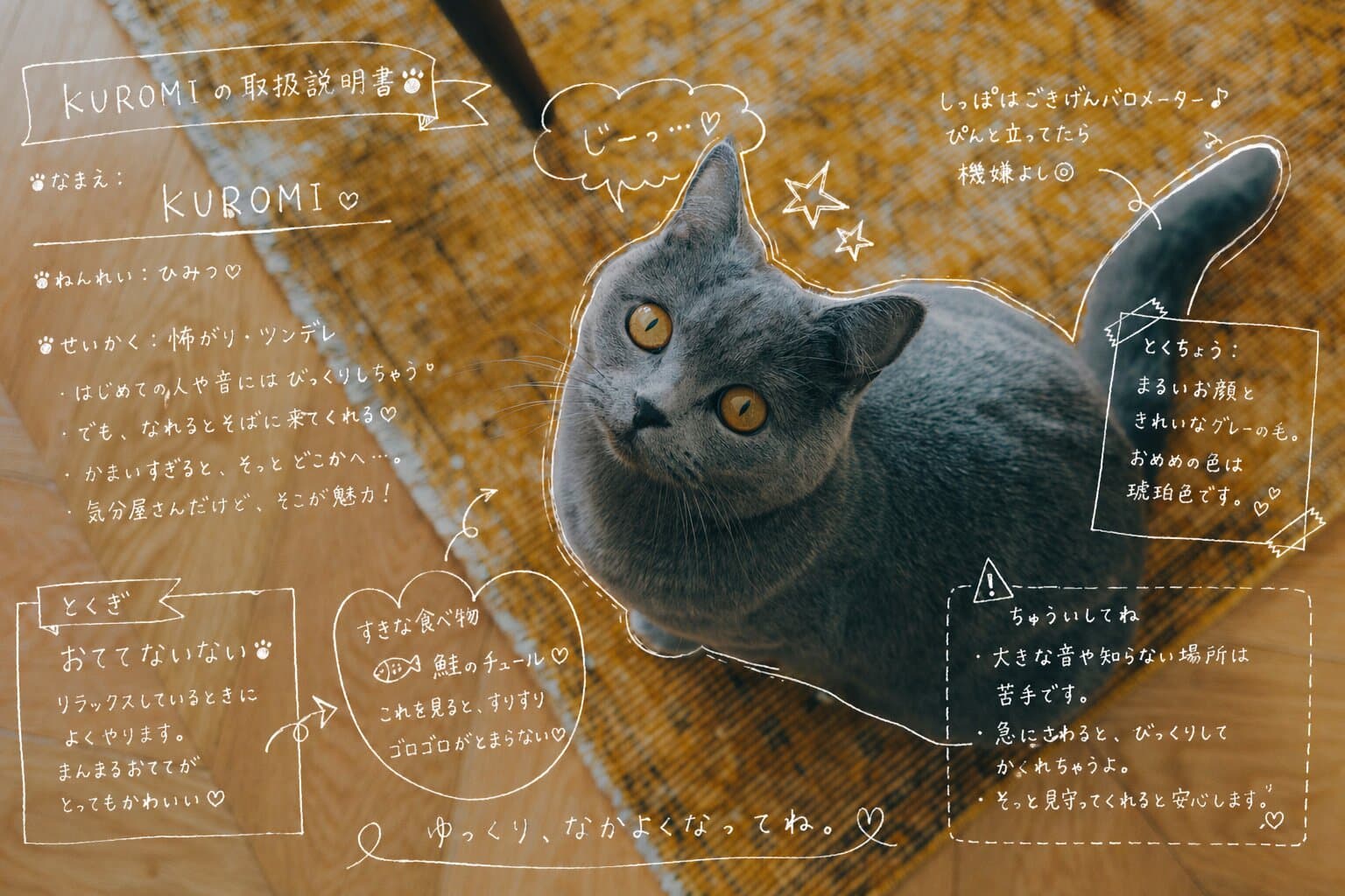 猫の手描き風トリセツを動かしてみた様子