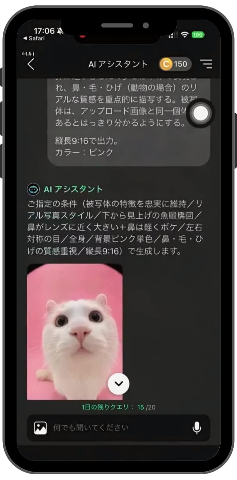 ペットの写真でかわいい壁紙を作る様子