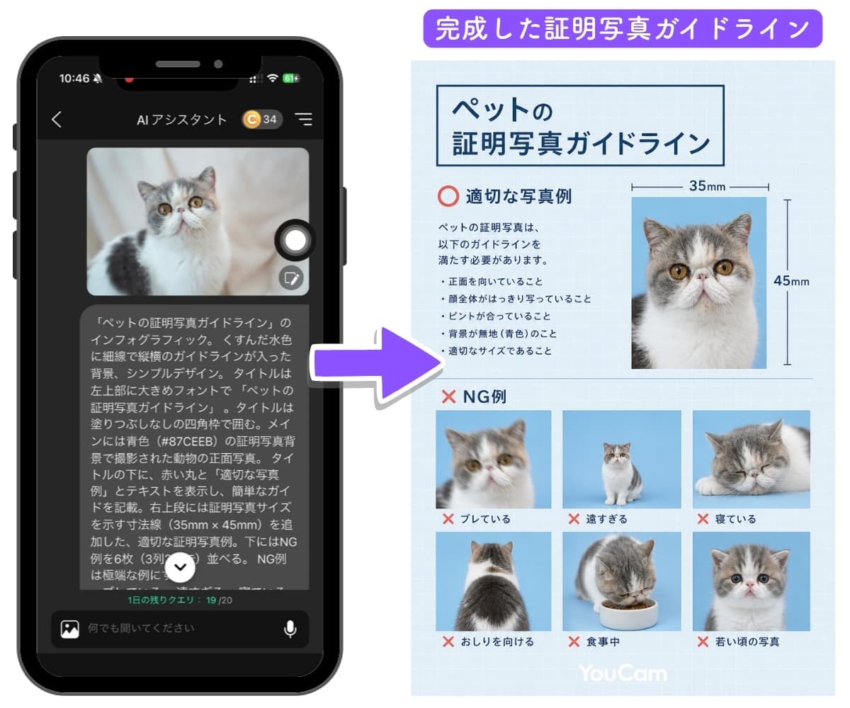 AIで作成した猫の証明写真ガイドラインが完成！