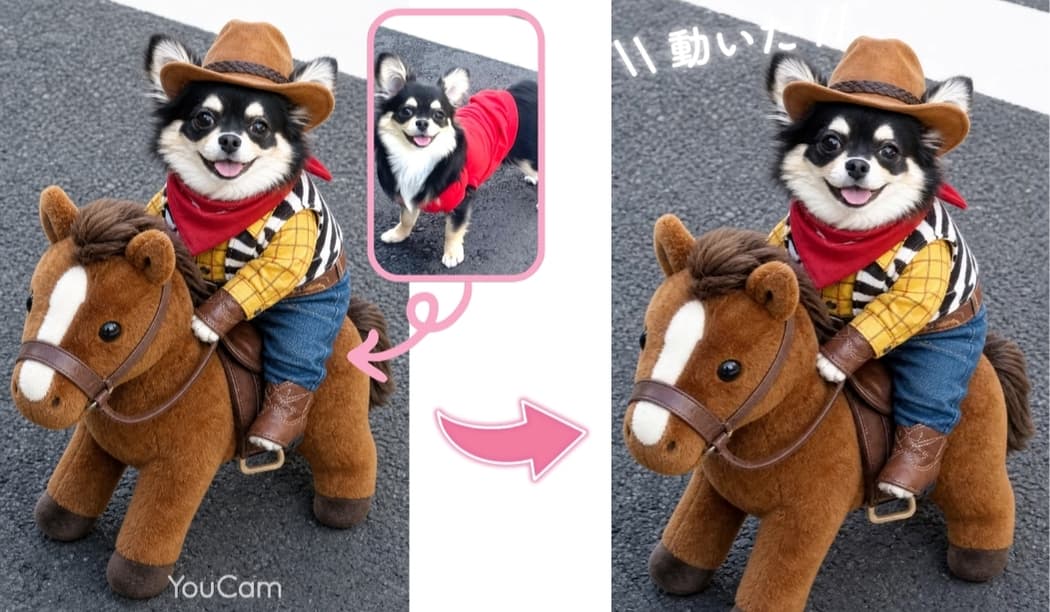 アプリで犬の写真を加工して、さらに動画にしてみた様子