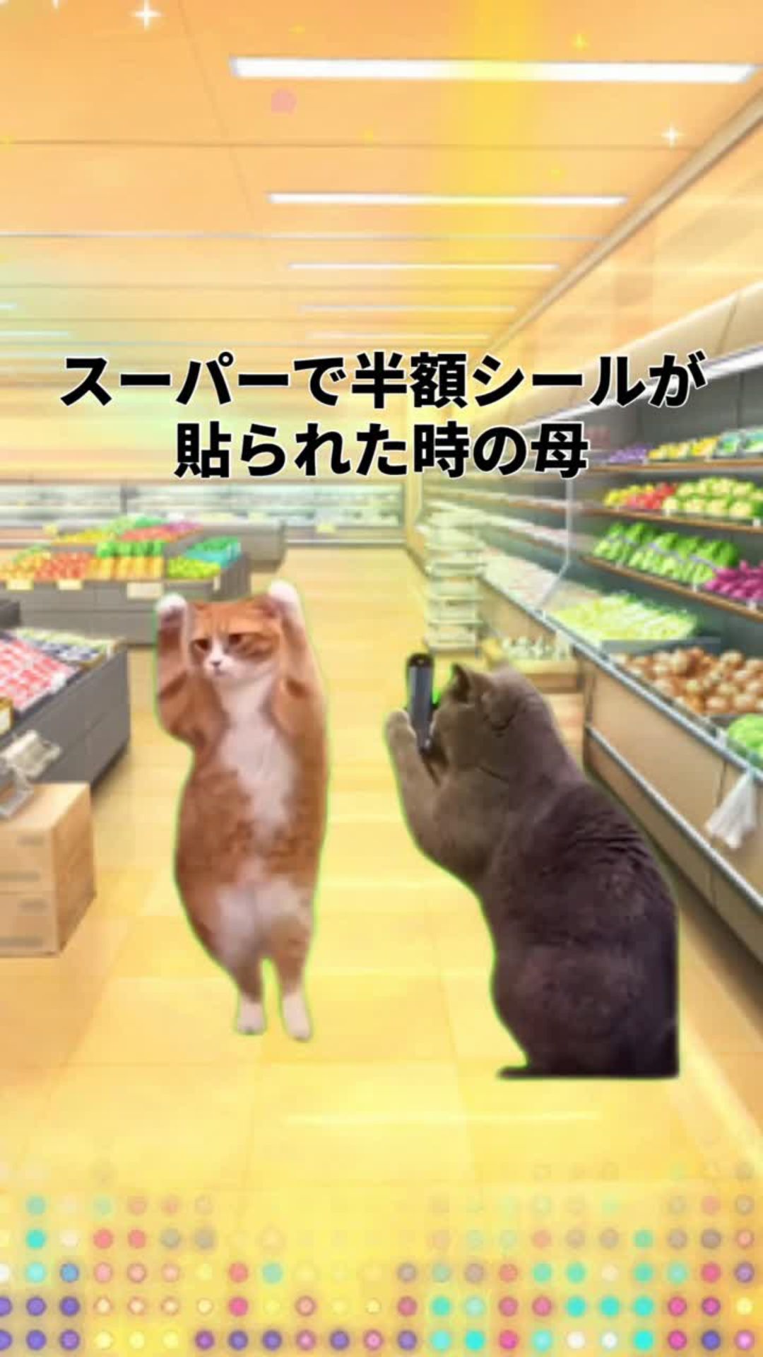 YouCam Videoで作成した「猫ミーム」動画