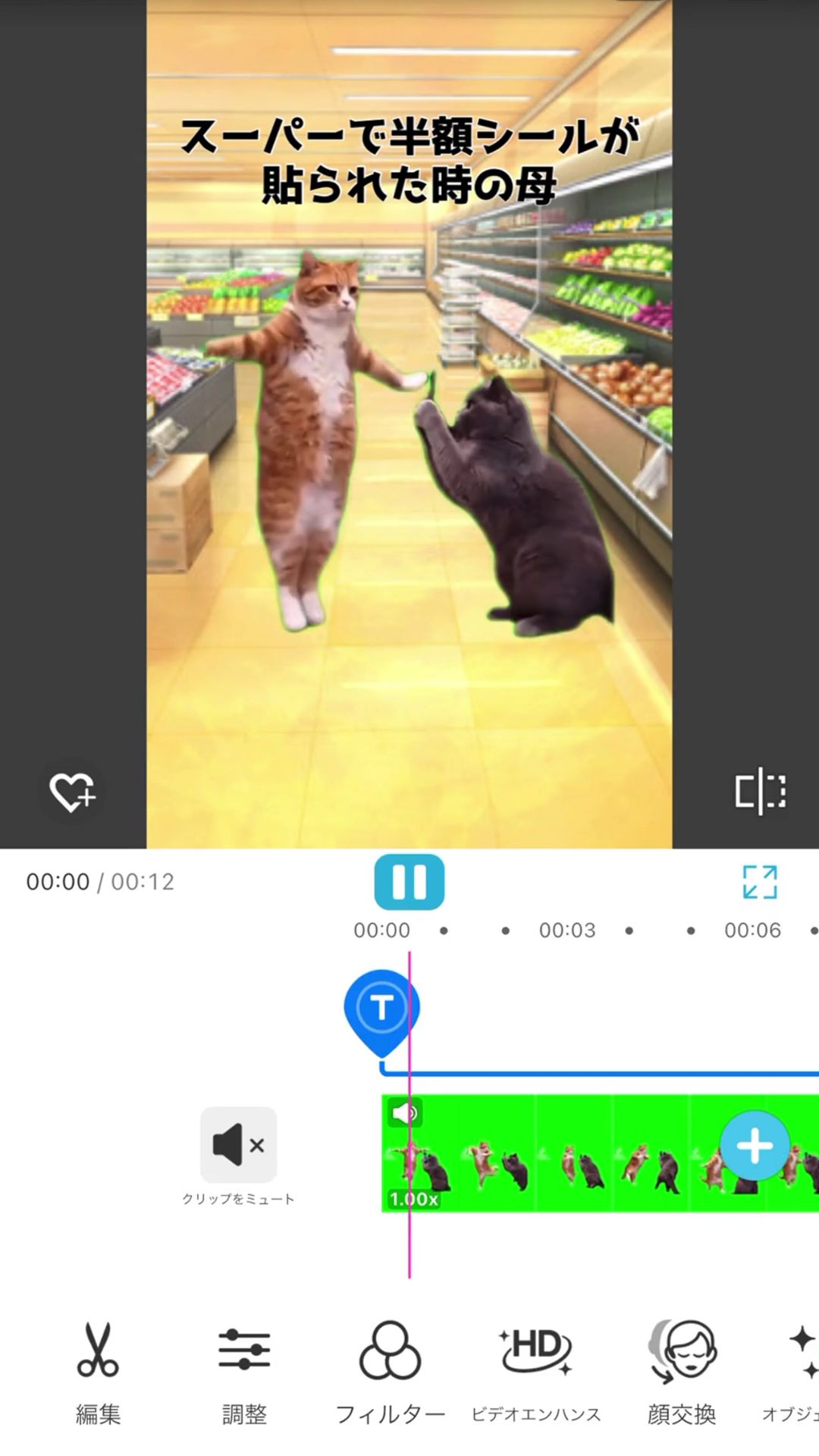 YCV猫ミーム動画編集画面