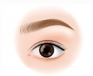 Obscured Eyebrows
