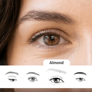 Eyes  Eyebrows