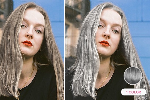 Gray Hair Filter