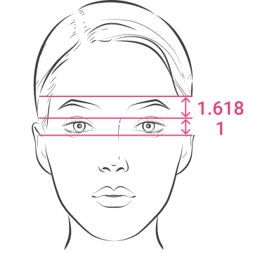Eyebrow Position and Arch