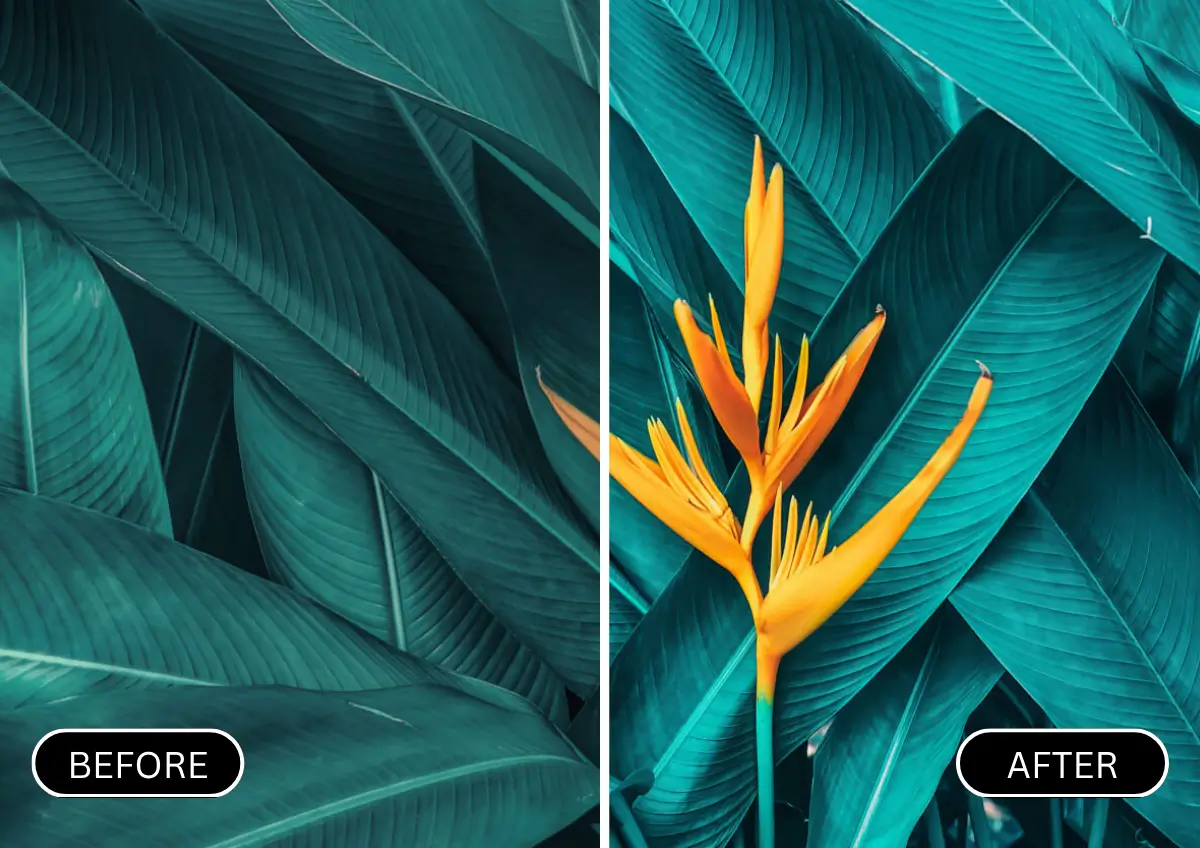 AI Color Correction