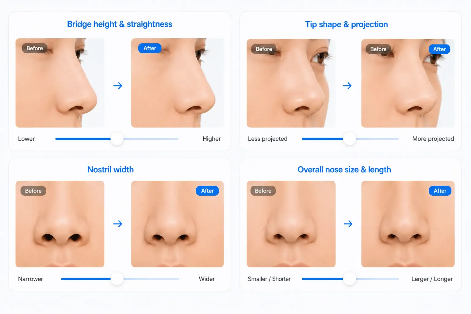 Nose sculpting API controls showing bridge tip and nostril adjustments