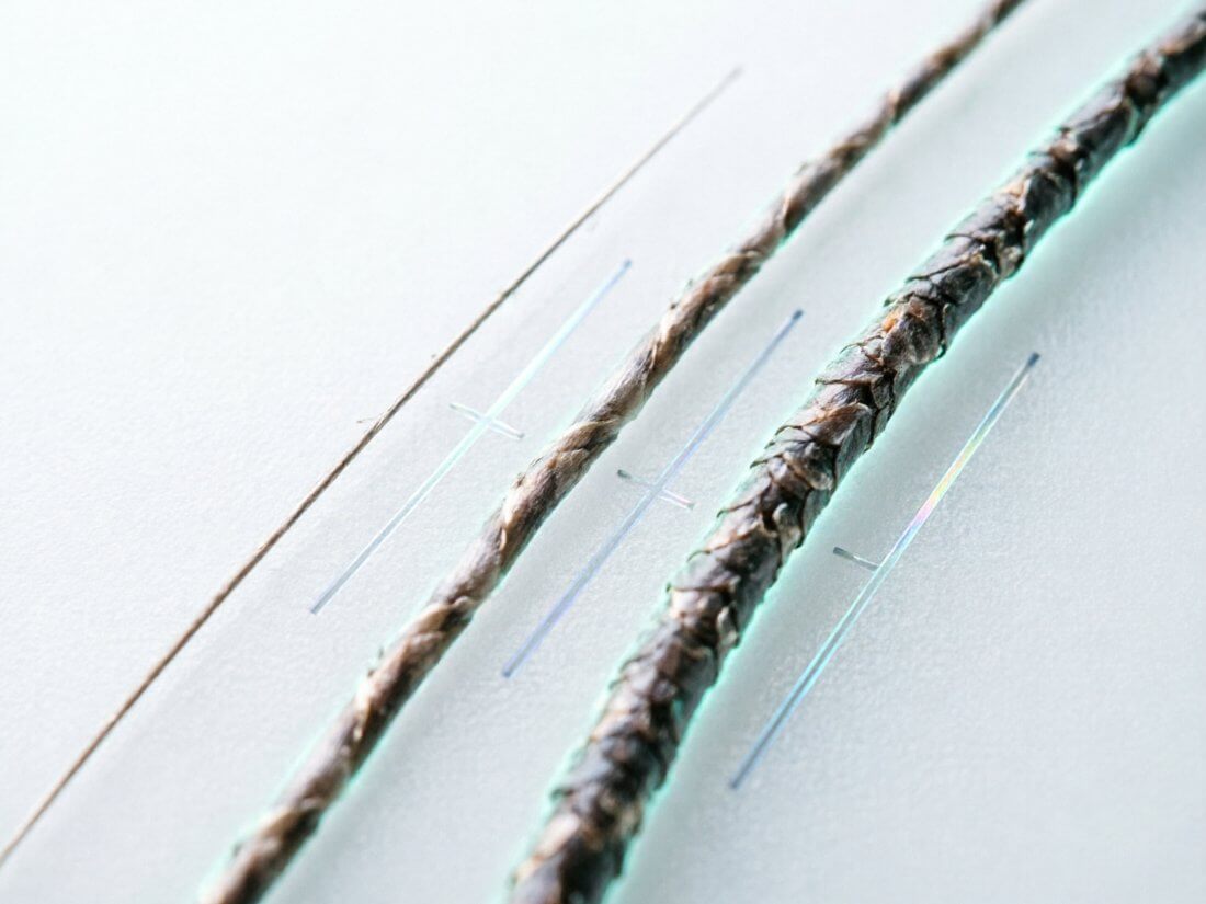 Strand Diameter and Growth Vary Too