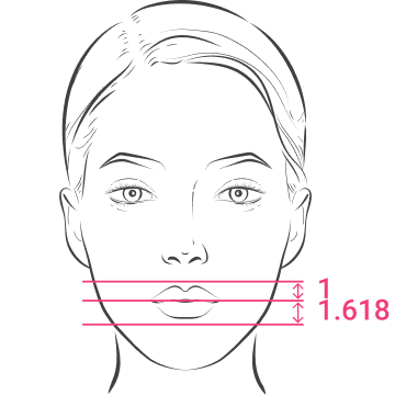 Upper Lip to Lower LipGolden Ratio: 1:1.618