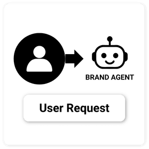 User Input Request