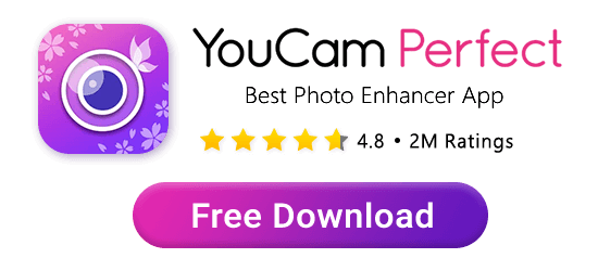 Download YouCam Perfect Now